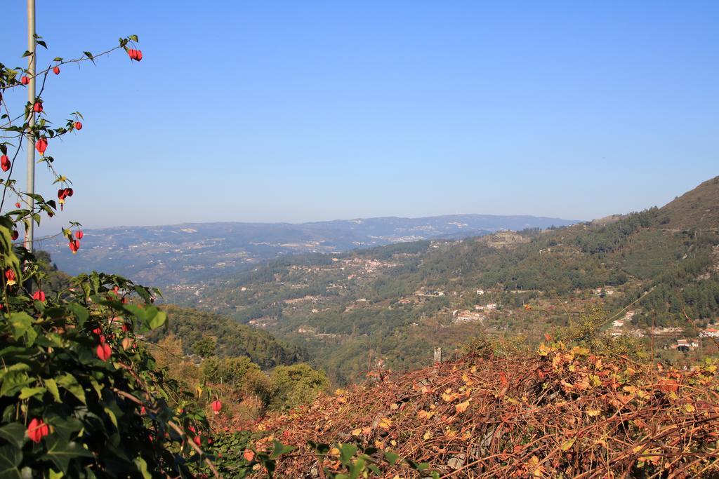 Douro Senses - Village House 辛方伊什 外观 照片